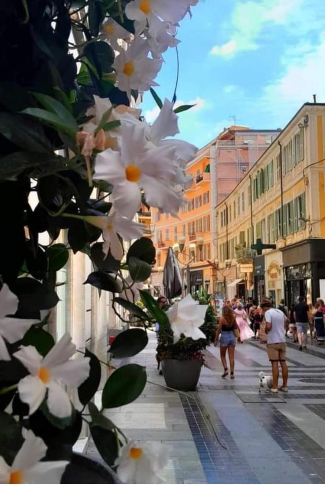 Casa Girasole Sanremo Centro Apartment Exterior foto